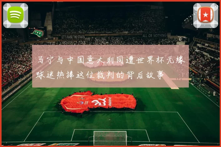 马宁与中国意大利同遭世界杯无缘球迷热捧这位裁判的背后故事